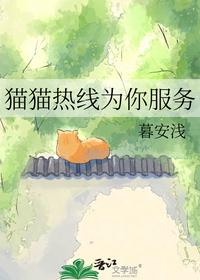 猫猫热线为你服务